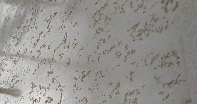 TRAVERTINO LUCIDO фактурная штукатурка глянцевая